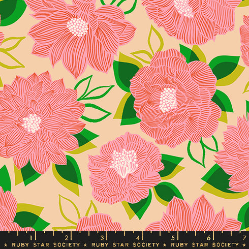 Favorite Flowers Blooming Florals in Sorbet RS5143 13 - Ruby Star Society Sold by the Half Yard